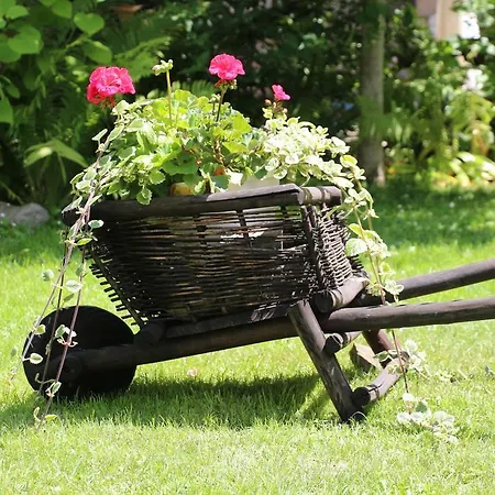 Hotel Aquarius Eco-Hotel-Grill-Restaurant 3*